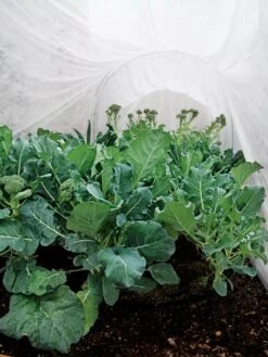 Summerweight Garden Fabric -Garden Care Sale 32644 7936 tif