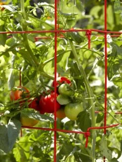 Tomato Cages, Set Of 4 9 Tomato Cages, Set Of 4 -Garden Care Sale 34182 592