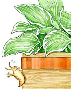 Copper Slug Tape -Garden Care Sale 38 994 b