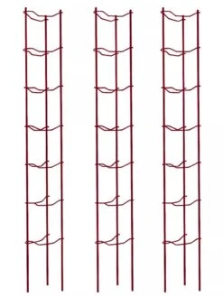 Tomato Ladders, Set Of 3 -Garden Care Sale 38185 002E psd