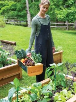 Garden Hods 9 Garden Hods -Garden Care Sale 39 761 0146 tif