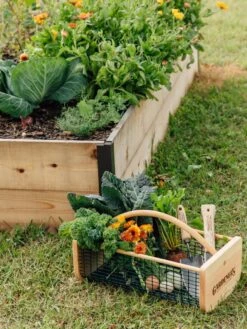 Garden Hods 8 Garden Hods -Garden Care Sale 39 761 572 tif