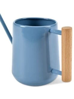Pinpoint Indoor Watering Can -Garden Care Sale 3 4 crop 8612963 04V tif