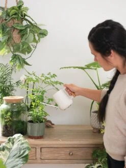 Pinpoint Indoor Watering Can -Garden Care Sale 3 4 crop 8612963 3774