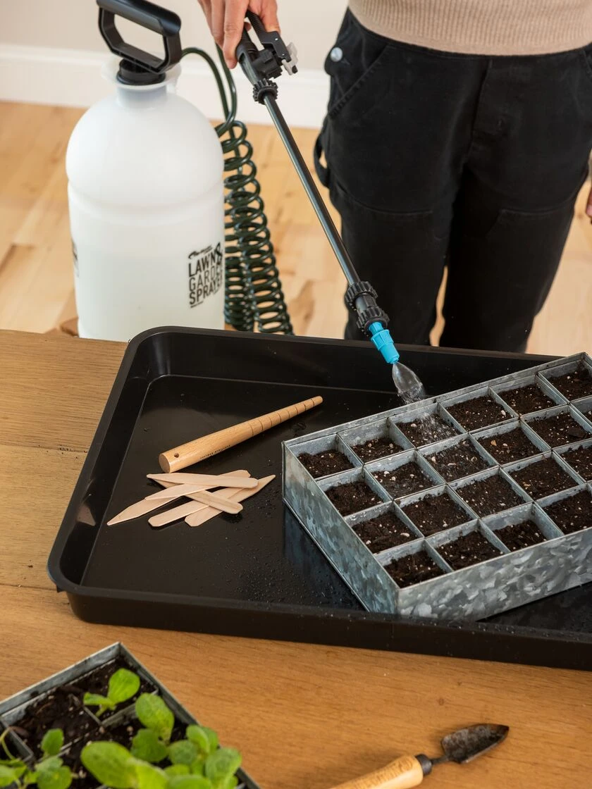 Sprayer Tank With Coil Hose Wand 2 Sprayer Tank With Coil Hose Wand - Image 2