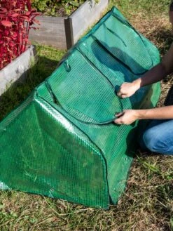 Multi Cloche -Garden Care Sale 3 4 crop 8613213 0250