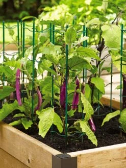 Pepper And Eggplant Stakes, Set Of 3 5 Pepper And Eggplant Stakes, Set Of 3 -Garden Care Sale 40308 2116 tif