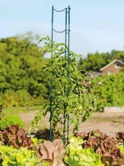 Stacking Tomato Ladders, Set Of 6 -Garden Care Sale 40309 100 tif