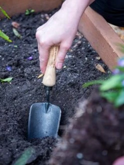 Gardener's Lifetime Trowel -Garden Care Sale 8586972 3001 tif