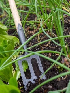 Gardener's Lifetime Spork -Garden Care Sale 8586973 2383 tif