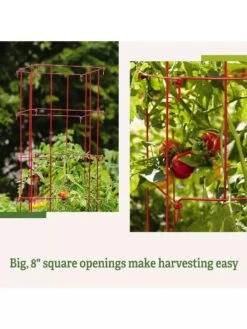 Tomato Cages, Set Of 4 13 Tomato Cages, Set Of 4 -Garden Care Sale 8587040 2