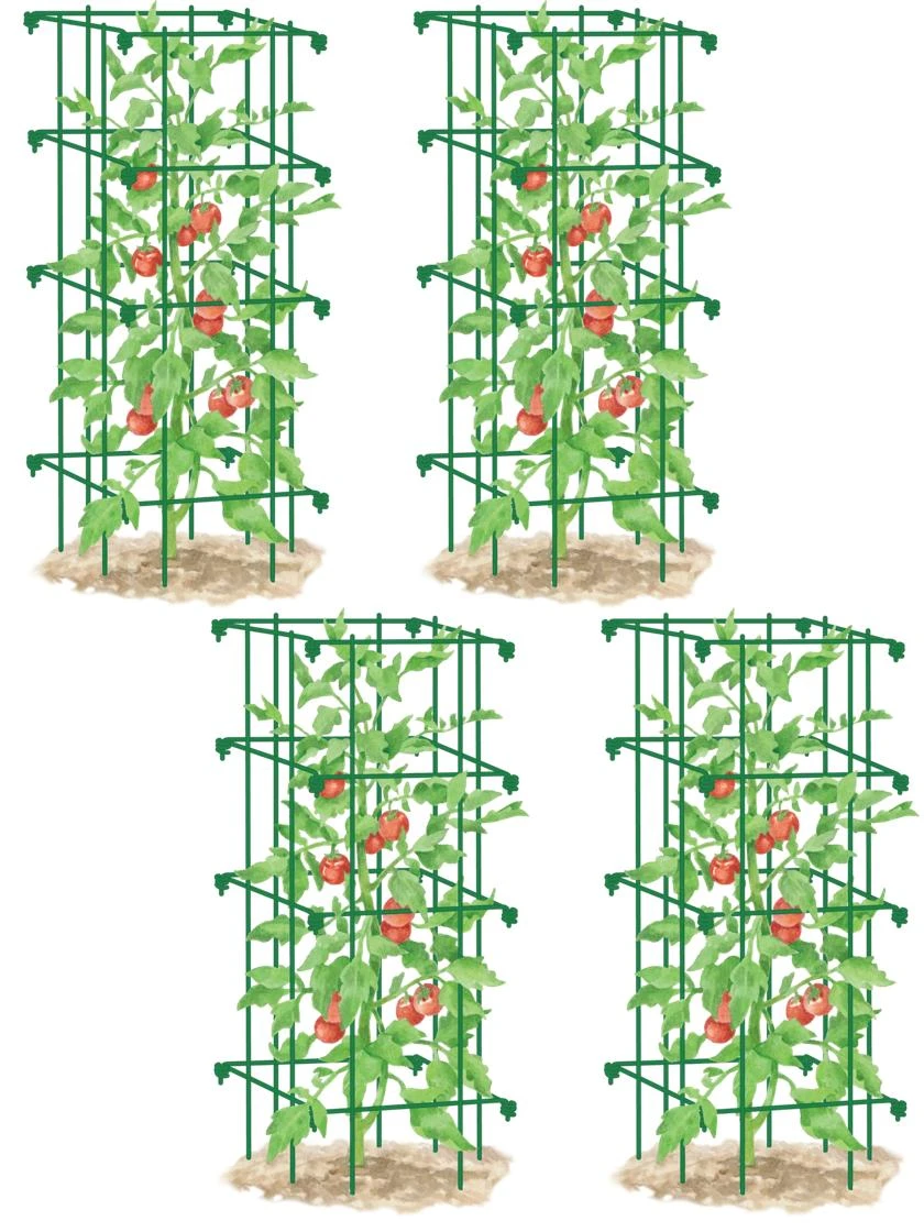 Tomato Cages, Set Of 4 5 Tomato Cages, Set Of 4 - Image 5