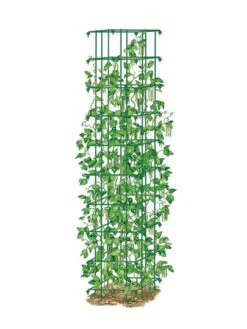 Bean Tower -Garden Care Sale 8587060 0008 GRN tif