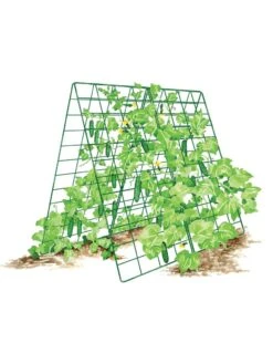 Deluxe Cucumber Trellis -Garden Care Sale 8587083 001 GRN tif