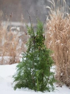 Jardin Pot Trellis -Garden Care Sale 8587120 009 tif