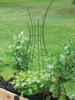 Jardin Pot Trellis -Garden Care Sale 8587120 7037 tif