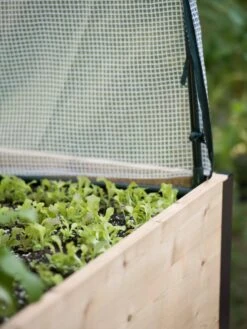 Protection Frame & Covers, 2' X 4' -Garden Care Sale 8587631 265 tif 1