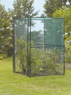 Crop Cage, 4' X 4' -Garden Care Sale 8587832 149 tif