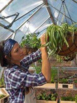 Canopia® By Palram Balance Greenhouse, 8' X 12' -Garden Care Sale 8588023 07V jpg