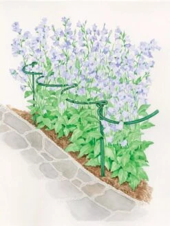 Tidy Path Supports 5 Tidy Path Supports -Garden Care Sale 8588403 003 1