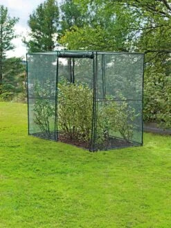 Crop Cage, 4' X 8' -Garden Care Sale 8589160 002 tif