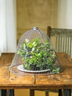 Chicken Wire Cloche -Garden Care Sale 8590210 1 tif