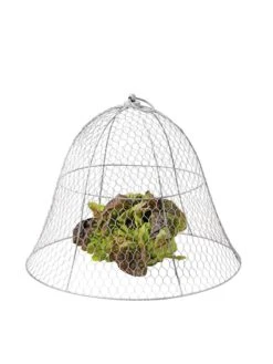 Chicken Wire Cloche -Garden Care Sale 8590210 675 tif
