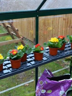 Canopia® By Palram Shelf Kit For Greenhouses, Set Of 2 Shelves -Garden Care Sale 8591033 09V jpg