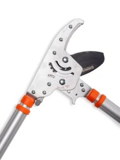 Telescoping Ratchet Loppers -Garden Care Sale 8591285 025 tif