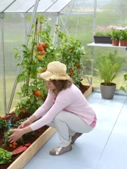 Canopia® By Palram Essence™ Greenhouse, 8' X 12' -Garden Care Sale 8591356 04V tif