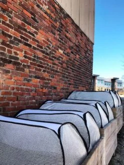 Row Shelter Accelerator -Garden Care Sale 8591990 01IN tif