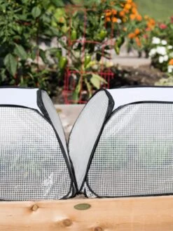 Row Shelter Accelerator -Garden Care Sale 8591990 2199 tif