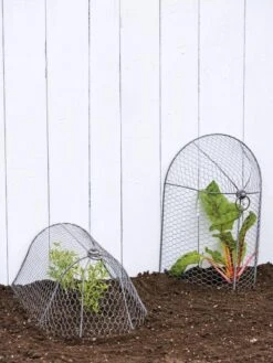 3-in-1 Chicken Wire Cloche -Garden Care Sale 8592117 0188 tif