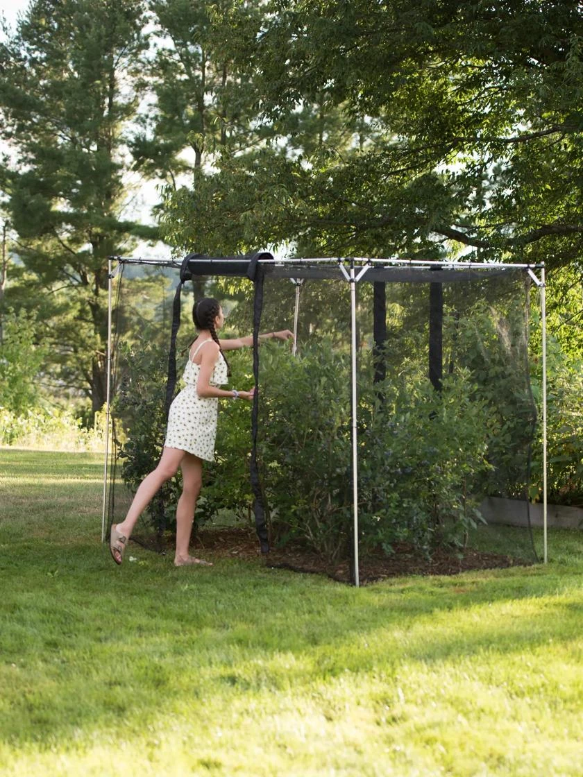 Storm Proof Crop Cage, Large 1 Storm Proof Crop Cage, Large