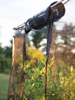 Storm Proof Crop Cage, Large 12 Storm Proof Crop Cage, Large -Garden Care Sale 8592463 115 tif