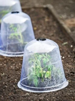 Large Garden Cloches, Set Of 3 -Garden Care Sale 8593984 9432 tif