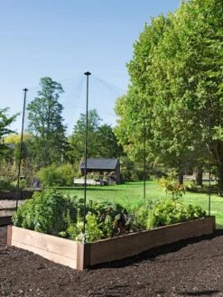 Protection Stakes For Netting, Set Of 4 8 Protection Stakes For Netting, Set Of 4 -Garden Care Sale 8594434 0015 tif