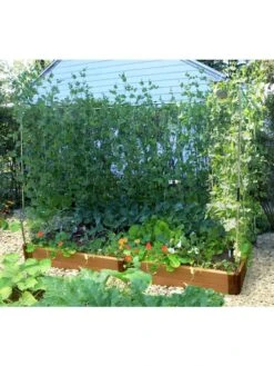 Stack & Extend Veggie Wall -Garden Care Sale 8595683 02V 3 4