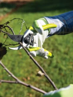 Gardener's Pro Pruner #2 -Garden Care Sale 8596605 032 tif