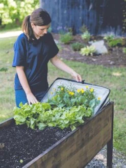 Pop-Up Crop Protector -Garden Care Sale 8596763 EasyCropProtector gif