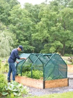 3-Season Plant Protection Tent, 4' X 8' -Garden Care Sale 8598282 0101 tif