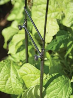 Adjustable Super Hoops, Set Of 3 -Garden Care Sale 8598301 0640 tif