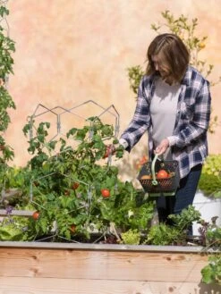 Gardener's Vertex Lifetime Tomato Cage -Garden Care Sale 8598426 0026 tif