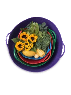 Colorful Tubtrug, 3-1/2 Gallon -Garden Care Sale 8599088 20GalTubTrug gif 1 scaled