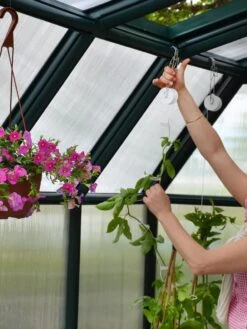 Canopia® By Palram Hobby Gardener Greenhouse, 8' -Garden Care Sale 8599331 04V tif