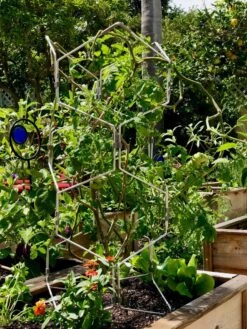 Gardener's Vertex Lifetime Pepper And Eggplant Cage -Garden Care Sale 8599554 01CUST tif