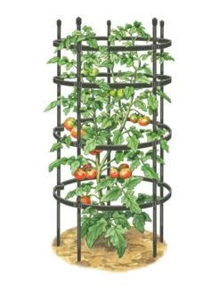Titan Tomato Cages, Set Of 3 -Garden Care Sale 8599861 0001 art tif