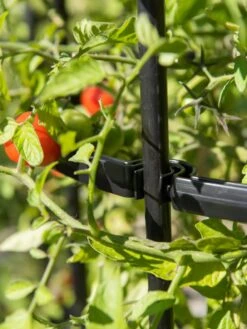 Titan Tomato Cages, Set Of 3 -Garden Care Sale 8599861 0079 tif