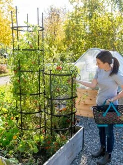 Titan Tomato Cages, Set Of 3 -Garden Care Sale 8599861 0114 tif