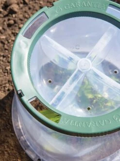 Sunny Forcing Cloches, Set Of 3 -Garden Care Sale 8600075 0742 tif